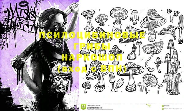 скорость Покачи