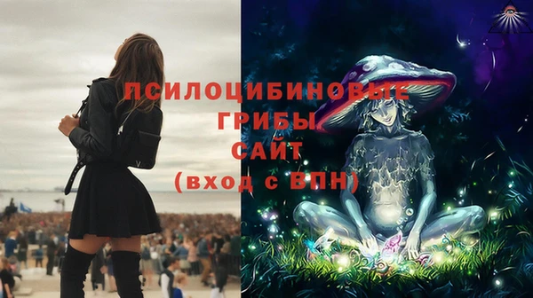 скорость Покачи